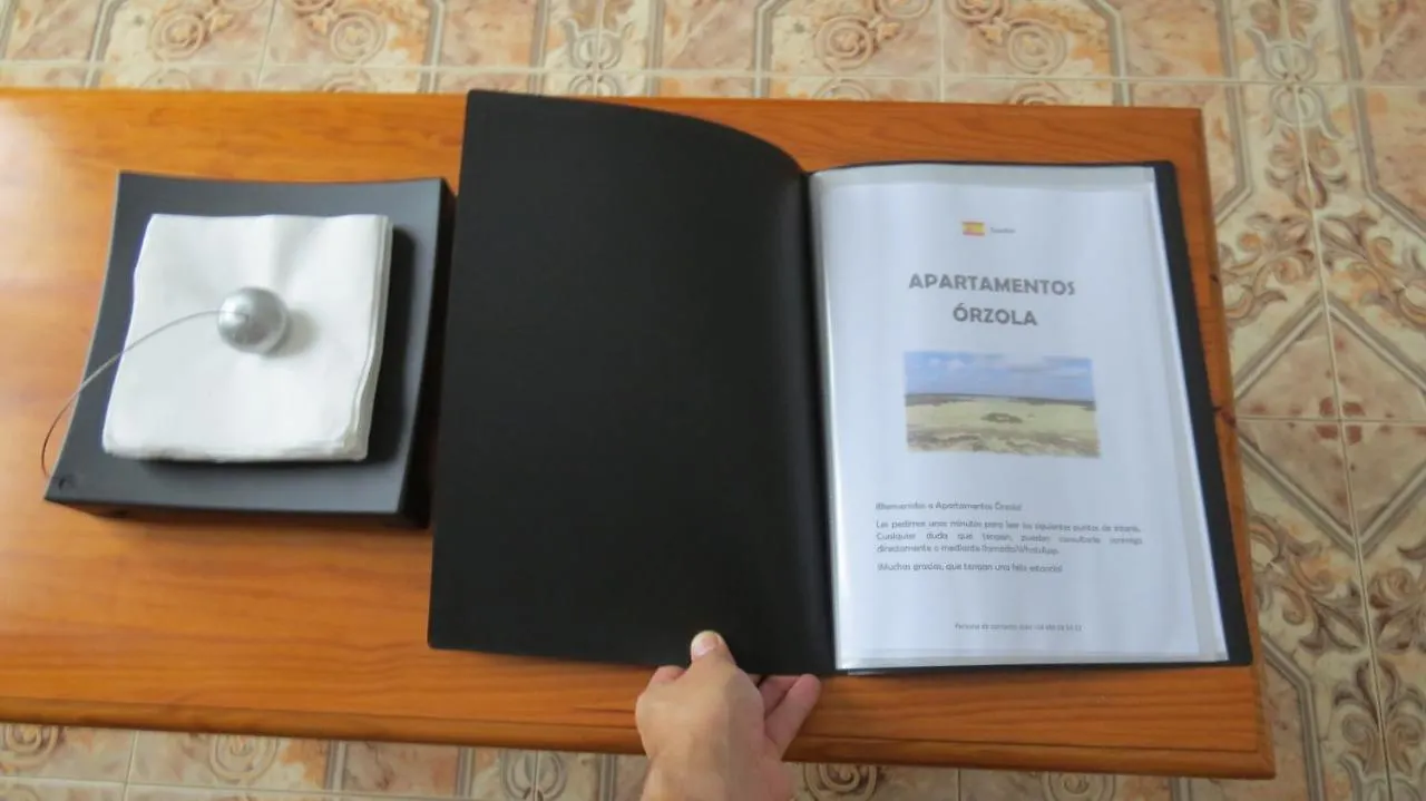 Apartamentos Orzola Apartment